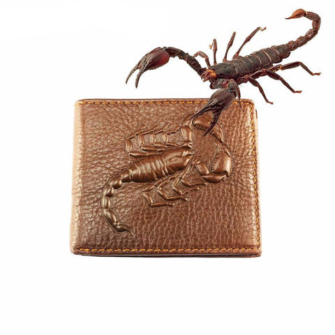 The Scorpion